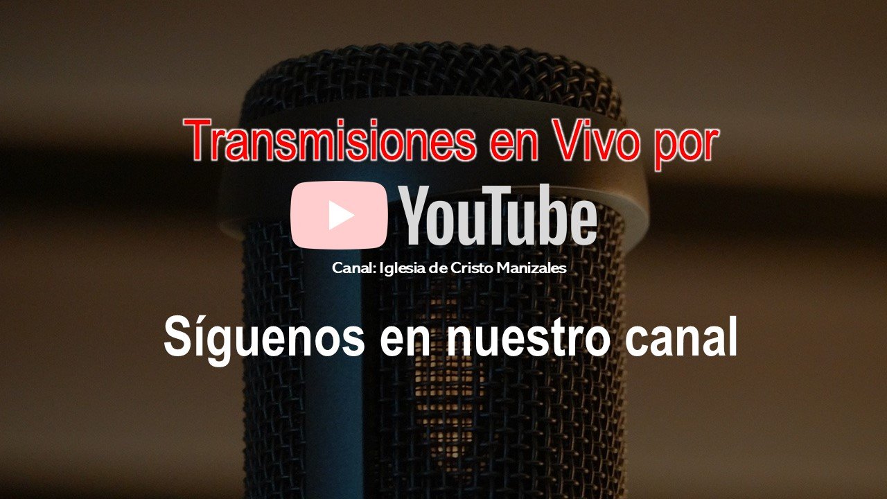 Transmisiones en Vivo