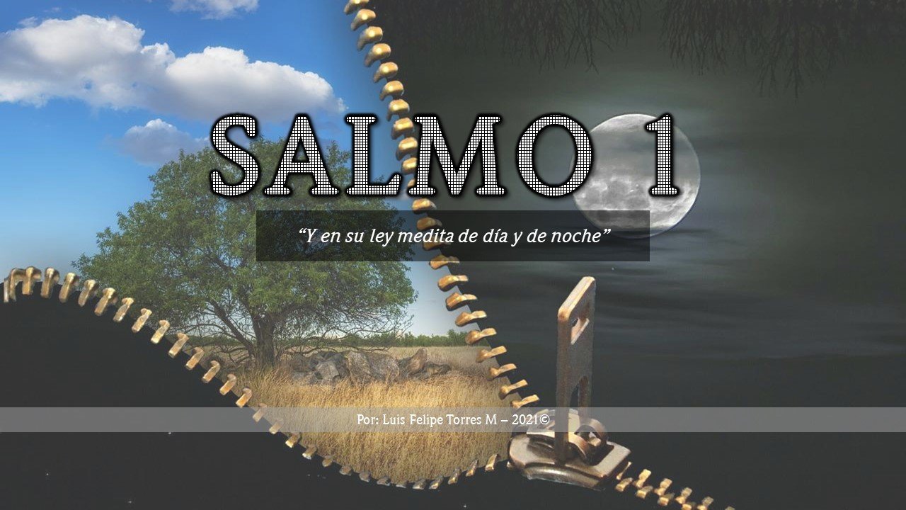 Salmo 1 – “Y en su ley medita de día y de noche”